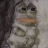Sees HM - avatar